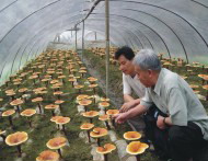 �`֥���L����